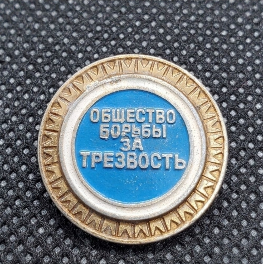 Vintage SBNT badge pin